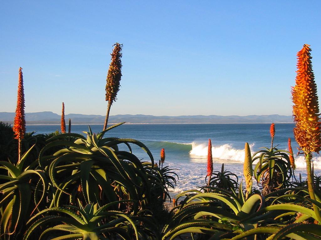 Beach House Jeffreys Bay Exteriér fotografie